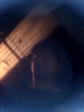 jeremiabello online show from March 8, 2026, 2:04 am