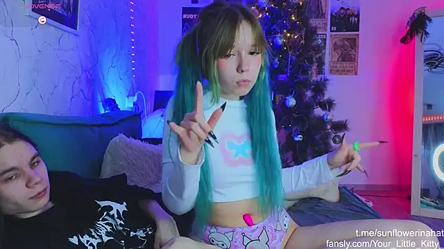 812sunflowerinahat online show from January 2, 2025, 7:33 am