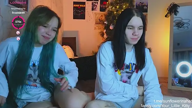 812sunflowerinahat online show from January 8, 2025, 11:32 am