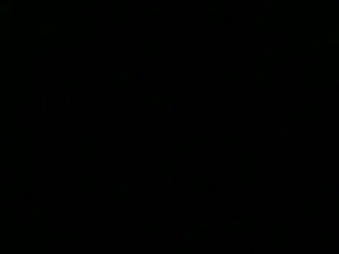 Snapshot of culalimer chatting on November 15, 2025, 1:26 pm culalimer online show from November 15, 2025, 1:26 pm