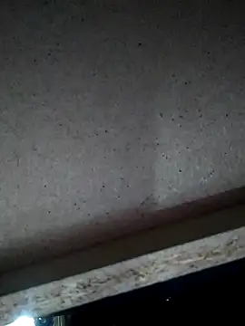 Snapshot of Leocesar37 chatting on November 15, 2025, 4:49 am Leocesar37 online show from November 15, 2025, 4:49 am