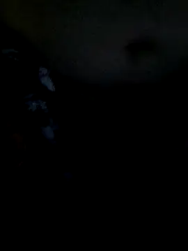 Snapshot of Leocesar37 chatting on December 19, 2025, 3:03 pm Leocesar37 online show from December 19, 2025, 3:03 pm