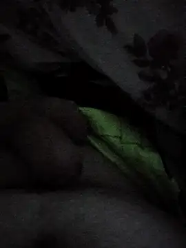 Snapshot of anderssonskuk chatting on February 21, 2025, 3:43 pm anderssonskuk online show from February 21, 2025, 3:43 pm