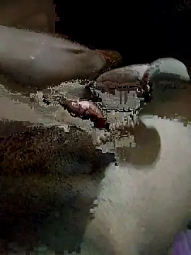 pusssyhub online show from December 4, 2025, 10:31 pm