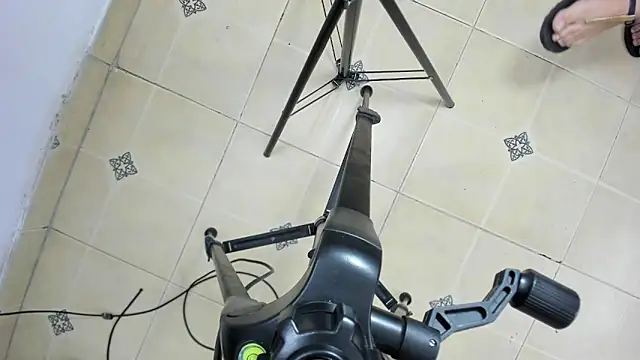 playsgirlhot online show from November 26, 2025, 11:38 pm