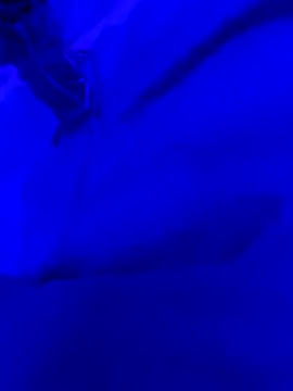 Snapshot of Hugo76578 chatting on October 10, 2025, 11:33 am Hugo76578 online show from October 10, 2025, 11:33 am