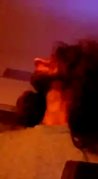 Snapshot of Maharajata1234 chatting on December 13, 2024, 10:02 pm Maharajata1234 online show from December 13, 2024, 10:02 pm