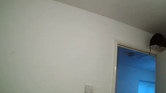 rampartzz online show from March 6, 2025, 5:54 pm