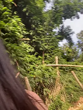 Morguissz online show from February 7, 2025, 11:12 am