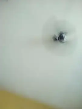 Snapshot of Anki-doll chatting on May 10, 2026, 5:33 am Anki-doll online show from May 10, 2026, 5:33 am