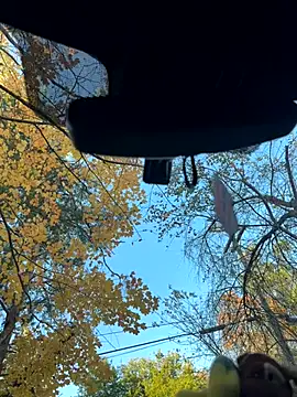 KBD85 online show from November 2, 2025, 8:58 pm