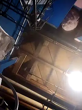 Snapshot of Whipit323 chatting on December 6, 2024, 5:03 am Whipit323 online show from December 6, 2024, 5:03 am