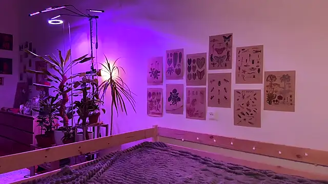 Snapshot of PaulaPratt chatting on October 4, 2025, 5:42 am PaulaPratt online show from October 4, 2025, 5:42 am