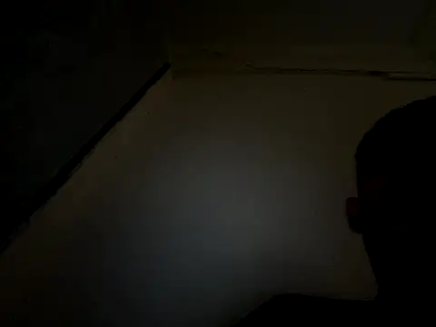 Freebird783 online show from September 18, 2025, 3:53 am