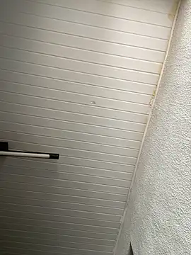 Snapshot of luara1988 chatting on November 12, 2025, 12:31 pm luara1988 online show from November 12, 2025, 12:31 pm