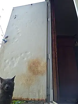 Snapshot of Beyond1978 chatting on November 15, 2025, 4:33 pm Beyond1978 online show from November 15, 2025, 4:33 pm