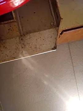 Snapshot of Beyond1978 chatting on November 13, 2025, 8:35 pm Beyond1978 online show from November 13, 2025, 8:35 pm