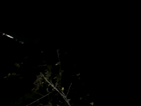 Snapshot of Backshort11 chatting on November 4, 2025, 3:21 am Backshort11 online show from November 4, 2025, 3:21 am