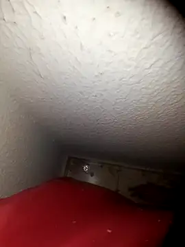 alexandre12115 online show from February 2, 2025, 9:07 am