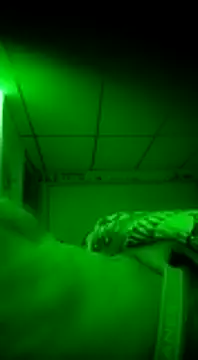 tryinitoutagain online show from December 29, 2024, 10:23 am