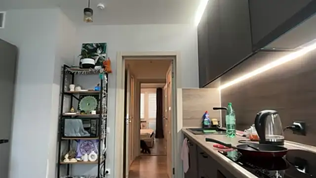 Snapshot of jainesummer chatting on December 4, 2025, 8:46 am jainesummer online show from December 4, 2025, 8:46 am