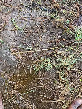 tamil000000 online show from March 13, 2025, 1:43 am