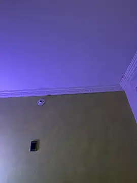 aurora divine online show from February 22, 2026, 1:13 pm