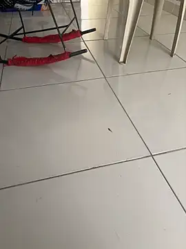 Snapshot of vivicolibri chatting on November 27, 2025, 12:49 pm vivicolibri online show from November 27, 2025, 12:49 pm