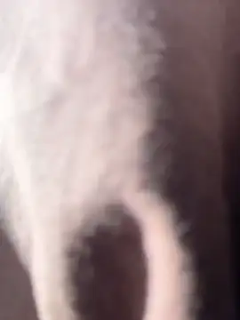 Snapshot of vivicolibri chatting on December 18, 2025, 8:56 pm vivicolibri online show from December 18, 2025, 8:56 pm