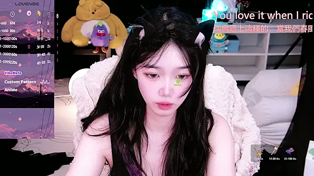 Sheep-1 online show from November 4, 2025, 11:58 am