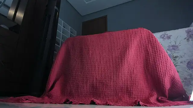 Snapshot of sherilkwang19tv chatting on January 12, 2026, 12:50 am sherilkwang19tv online show from January 12, 2026, 12:50 am