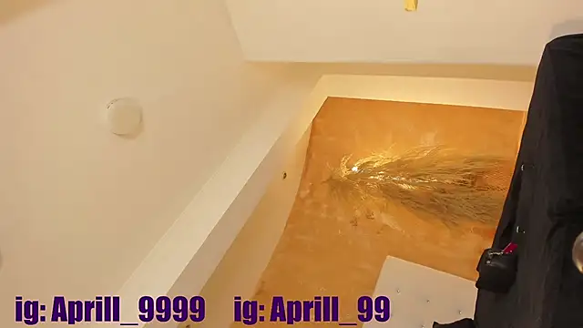 Snapshot of APRILL_FOXX chatting on February 23, 2026, 7:47 pm APRILL FOXX online show from February 23, 2026, 7:47 pm