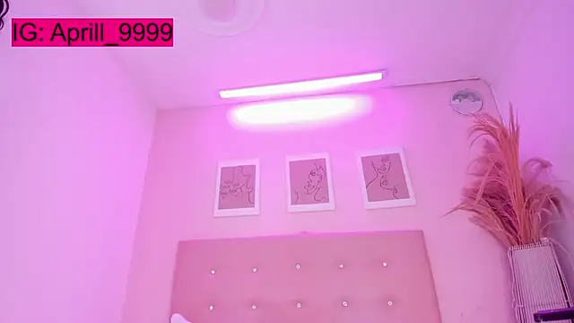 APRILL FOXX online show from December 13, 2025, 8:04 pm