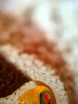 Sanjaysharmarbl online show from December 2, 2024, 6:26 am