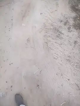 ajaysinghsss online show from November 10, 2025, 1:32 am