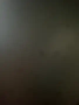 Snapshot of RicarBer chatting on October 25, 2025, 5:24 pm RicarBer online show from October 25, 2025, 5:24 pm