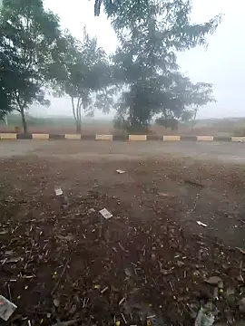 blackcobra94 online show from December 14, 2024, 8:13 am