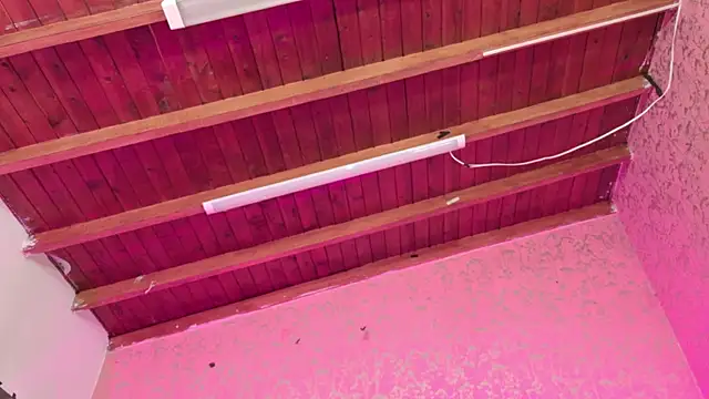 Snapshot of Sofia_martiin chatting on November 14, 2025, 3:10 am Sofia martiin online show from November 14, 2025, 3:10 am