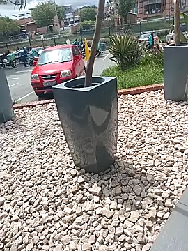 Lexwelll online show from March 16, 2025, 11:05 am