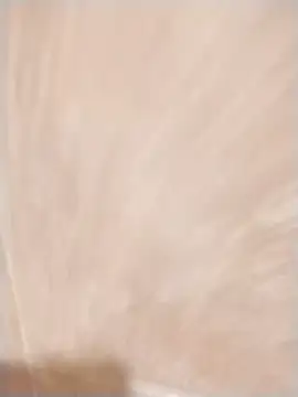 jenilmax online show from February 14, 2025, 8:37 pm