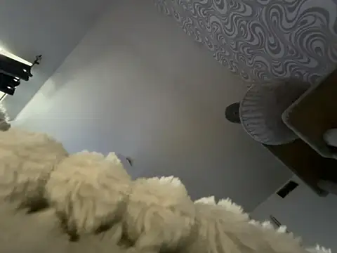 Snapshot of bunnyamy chatting on November 12, 2025, 11:03 am bunnyamy online show from November 12, 2025, 11:03 am