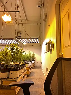 Snapshot of jr91esl chatting on March 2, 2025, 6:05 am jr91esl online show from March 2, 2025, 6:05 am