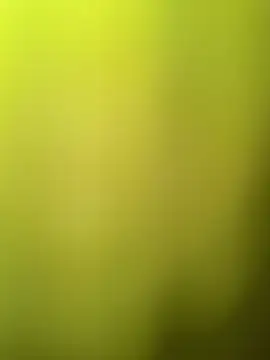 faaseel online show from March 11, 2025, 8:08 am