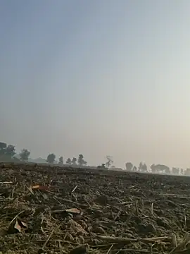 Snapshot of imissyoumylove14 chatting on December 10, 2024, 3:09 am imissyoumylove14 online show from December 10, 2024, 3:09 am