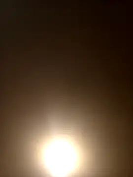 Snapshot of Morguisssz chatting on September 28, 2025, 11:55 pm Morguisssz online show from September 28, 2025, 11:55 pm