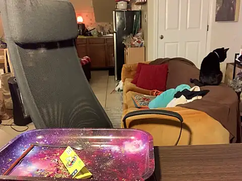 Snapshot of BigKittyRaven chatting on December 12, 2024, 5:04 pm BigKittyRaven online show from December 12, 2024, 5:04 pm