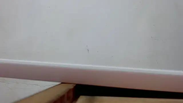 Snapshot of danilo302209 chatting on March 10, 2025, 10:39 am danilo302209 online show from March 10, 2025, 10:39 am