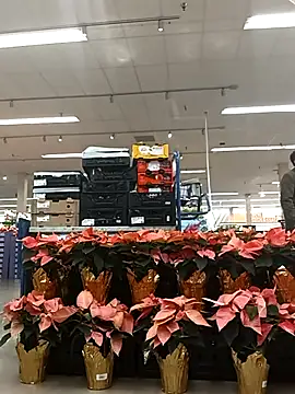 Snapshot of kobrashekyng chatting on November 14, 2025, 3:37 pm kobrashekyng online show from November 14, 2025, 3:37 pm