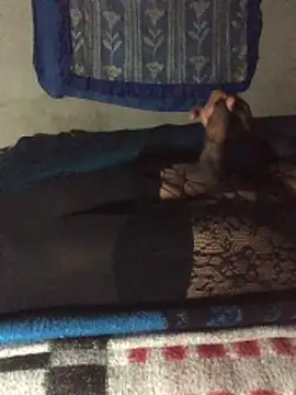 manuamador online show from December 4, 2025, 4:55 am