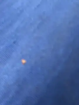 Snapshot of United3 chatting on October 9, 2025, 8:26 am United3 online show from October 9, 2025, 8:26 am